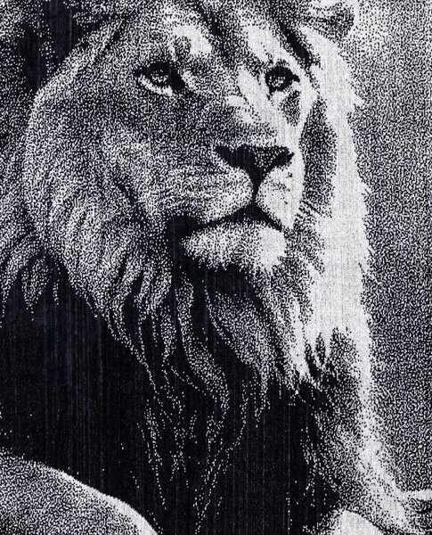 ANIMAL Oroszlán Strandtörölköző 165x90cm