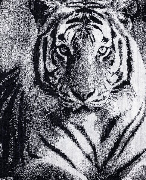 ANIMAL Tigris Strandtörölköző 165x90cm