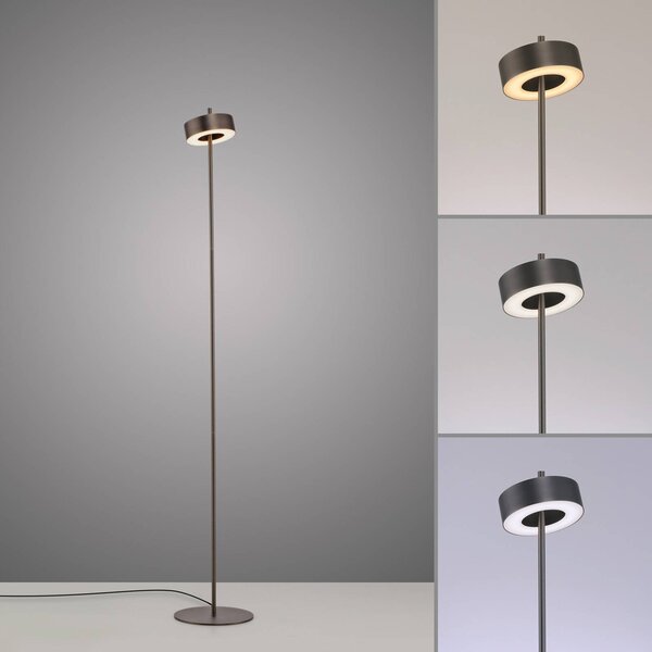 Q-Smart-Home Paul Neuhaus Smart LED-es állólámpa Q-Rotate sötétbarna 140 cm, dimmelhető, Barna / rozsda, Nappali / Étkező, Alumínium, Modern