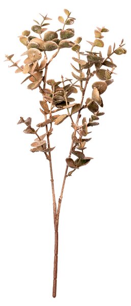 Eukaliptusz műnövény, 38cm magas - Krém
