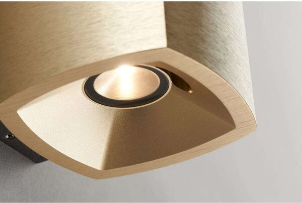 Fali Lámpa LIGHT-POINT, dimmable, Arany / Sárgaréz, Pince, Alumínium