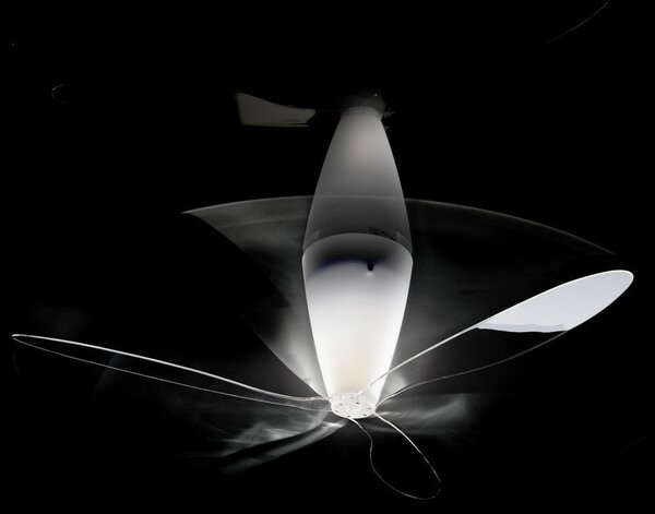 Mennyezeti Lámpa Luceplan, dimmable, Átlátszó, Hálószoba, Műanyag