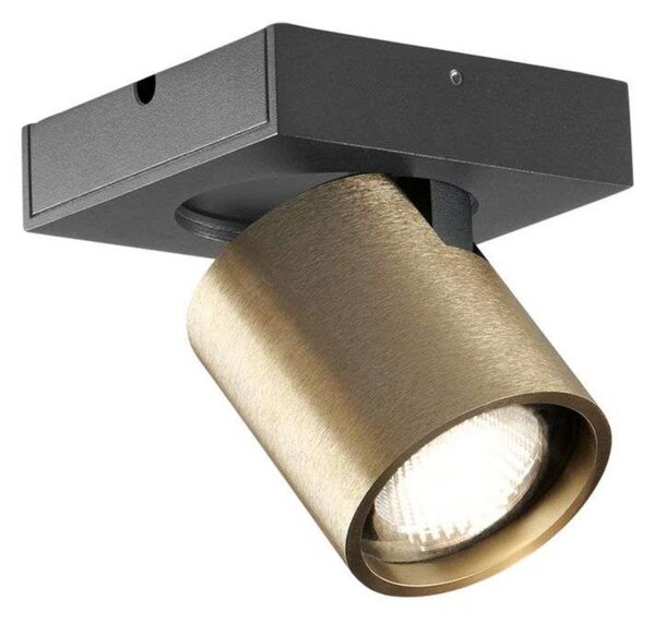 Mennyezeti Lámpa LIGHT-POINT, dimmable, Arany / Sárgaréz, Nappali, Alumínium