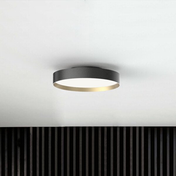 Mennyezeti Lámpa LOOM DESIGN, Lucia, dimmable, Fekete, Nappali, Fém, Modern