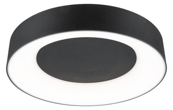 Mennyezeti Lámpa Paulmann, Casca, dimmable, Fekete, Fürdőszoba, Fém, Modern